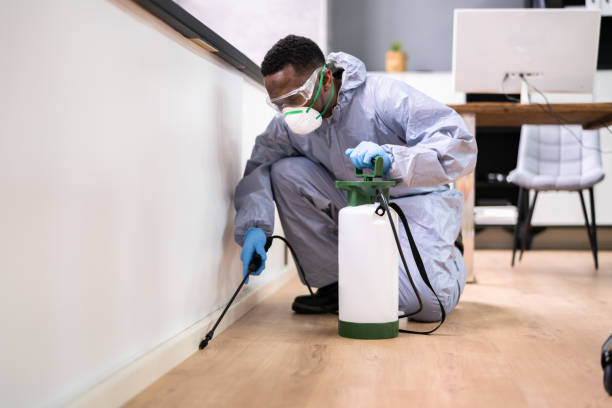 Best Residential Pest Control  in Kalkaska, MI